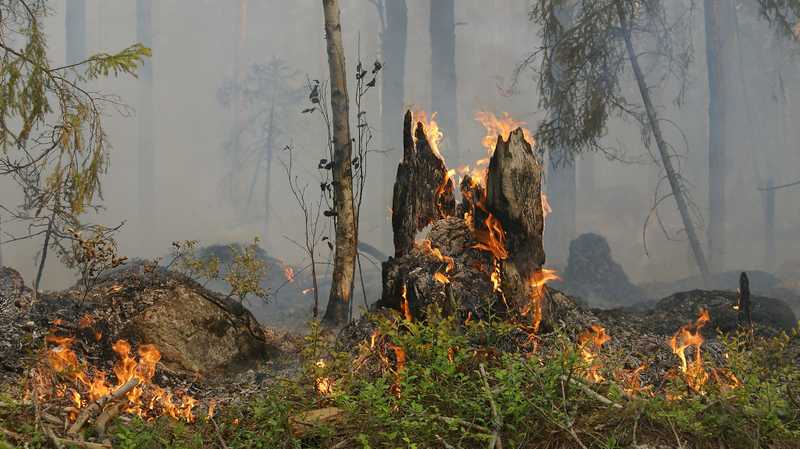 Periodi di ALTA PERICOLOSITA’ INCENDI BOSCHIVI