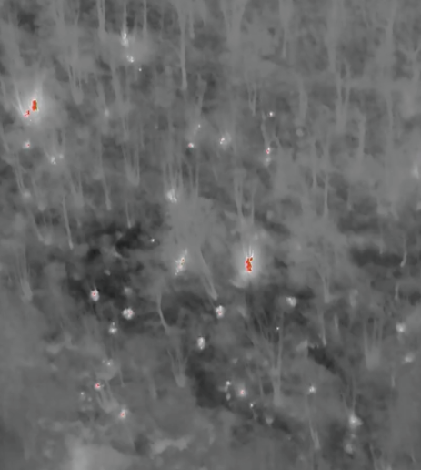 Formazione specialistica per operazioni di bonfica e censimento incendi boschivi e di interfaccia